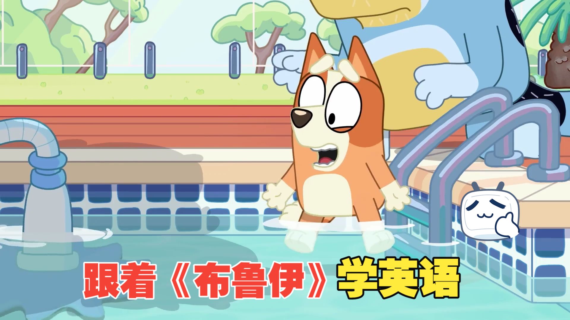 Bluey Pool cover
