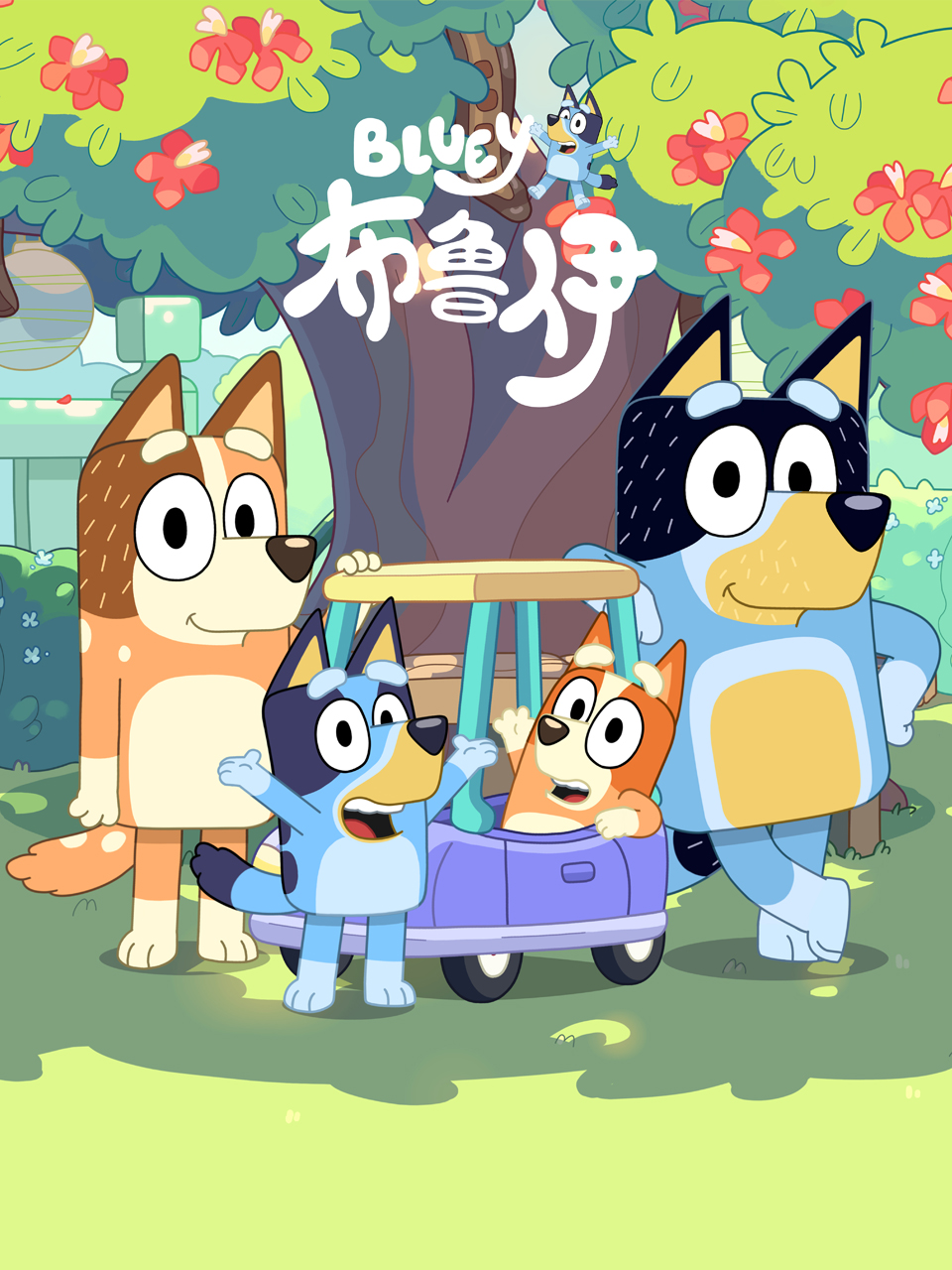 Bluey Season 2 cover